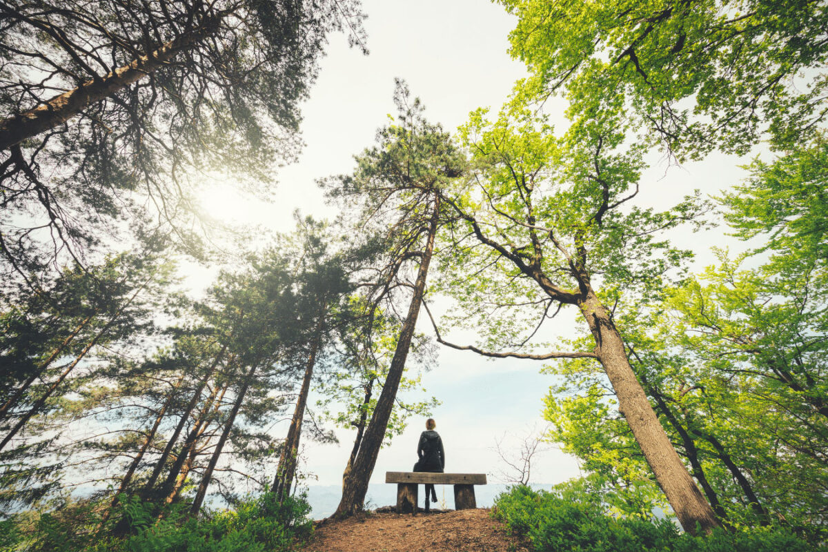 woman in forest practicing grounding techniques
