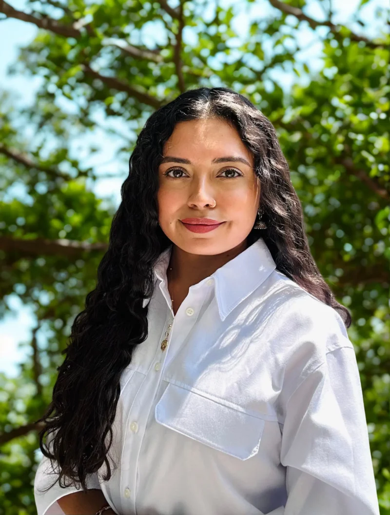 Alejandra Hernandez, LMSW, Staff Clinician at Transitions Counseling and Consulting in Spring, Texas