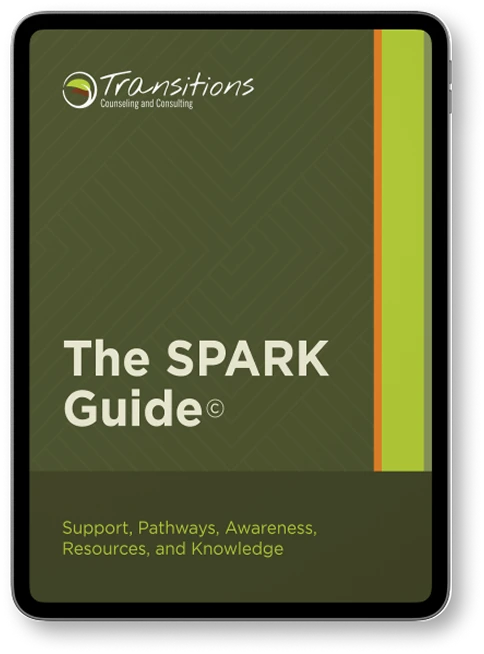 sparkGuideIpadMockup showing the concept of Home